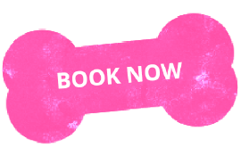 Book Now Online pet Store in nepal Petxan