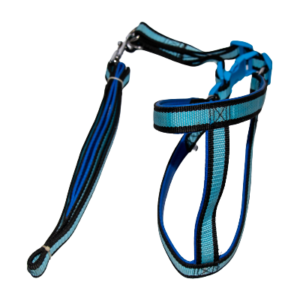 Full body padding dog belt for walking